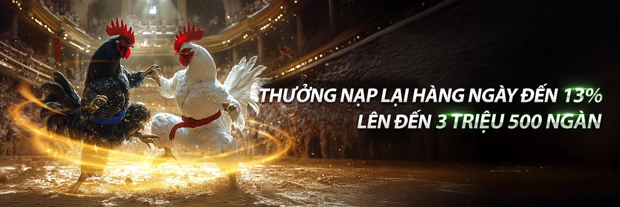 Đá gà trực tuyến l888now với các chiến kê dũng mãnh